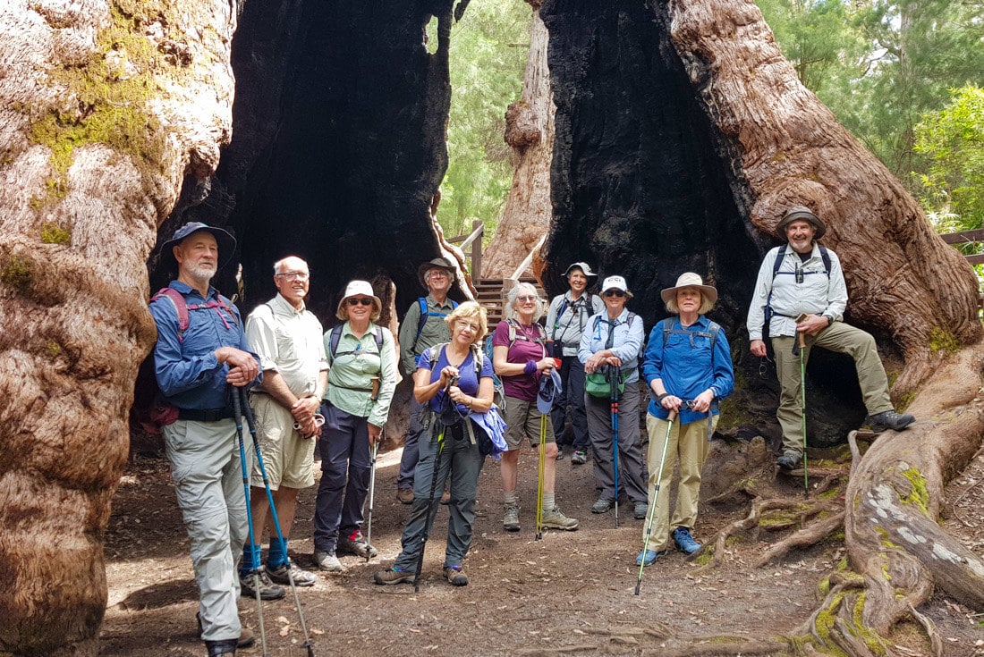 Hike the Bibbulmun Track: Walpole to Denmark
