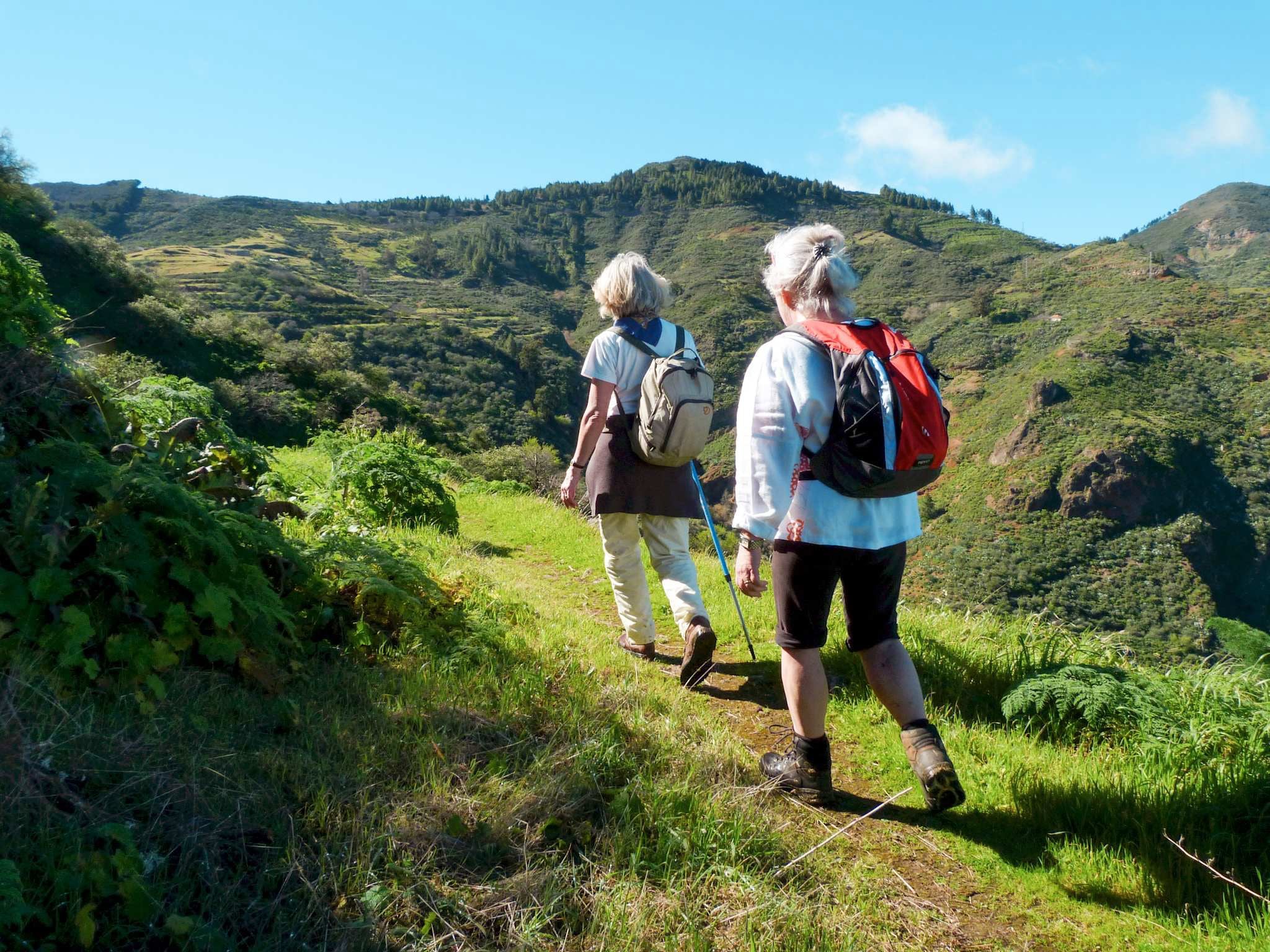 Vandrerejse til Madeira