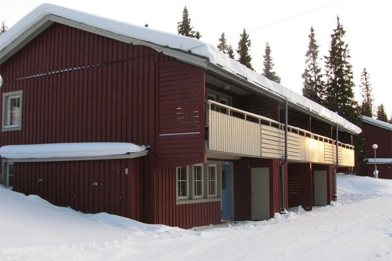Renen Björnen