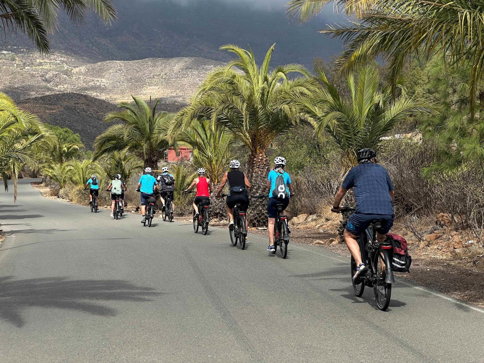 Papuga Holidays elcykling på Gran Canaria